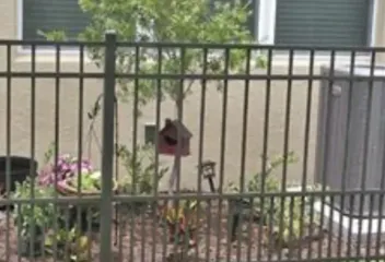 fence